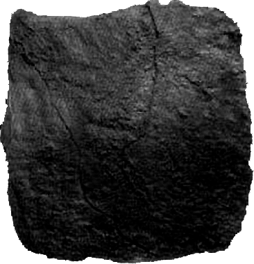 Piedra pizarra