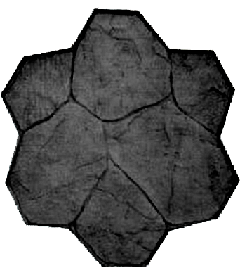 Rocaflor v2